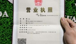 农村王先生最新爆料,揭秘农村发展新动向