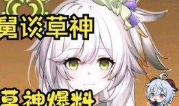 原神的草神技能爆料视频,原神全新元素力量震撼来袭