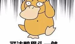 打今日一线爆料要钱吗,是否需要支付费用？